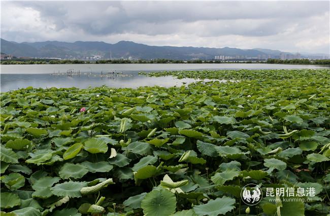 QQ圖片20210318210233