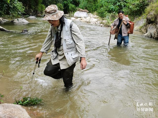 云南文山發(fā)現植物新種云南管蕊茶