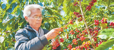 1616095972840_1 1616095972840_1