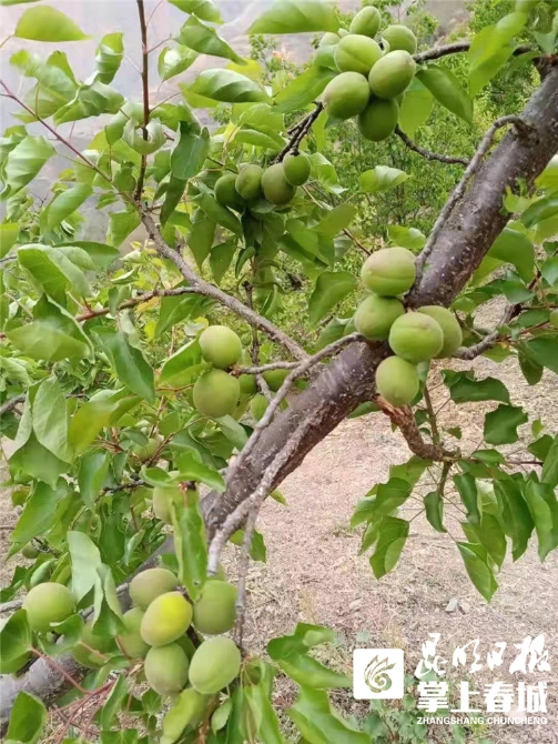 ASPYQEE8k3 ASPYQEE8k3