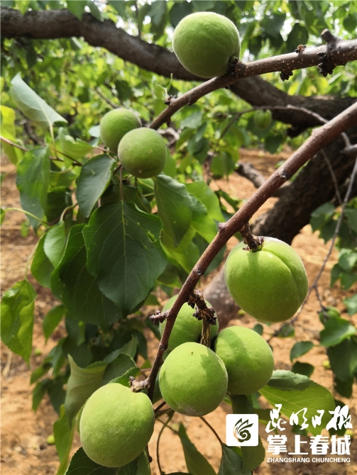 BwR6YYpi3A BwR6YYpi3A