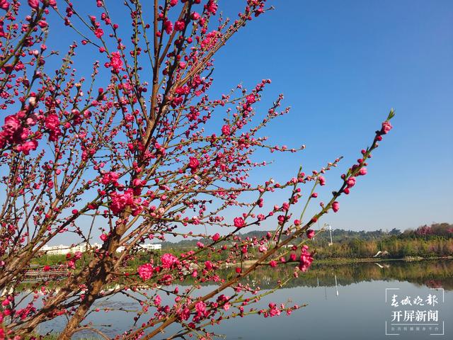 20210311213304U3VL22 20210311213304U3VL22