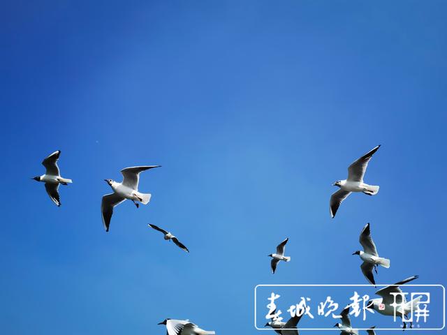 20210310155855B7BBMB 20210310155855B7BBMB