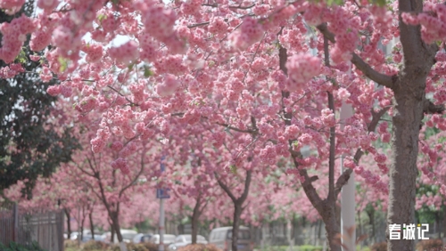 7ce6ffedb57d279efcd3f99b1c11042