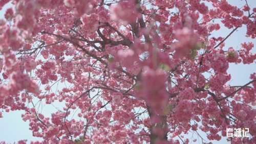 22f689ff7e5987b6764ce1bd65ee912