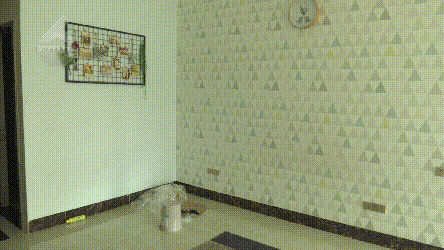 小心！昆明多家民宿被租客洗劫一空，快去看看你家還好嗎？