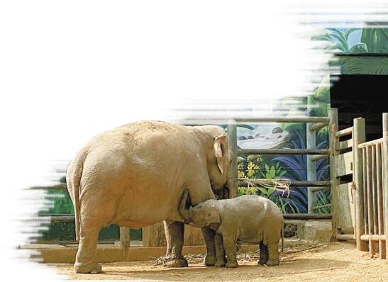 QQ截圖20210325092705