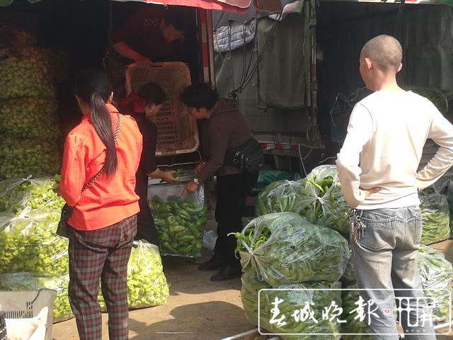 辣椒暴跌被“腰斬”，5元一公斤堪比白菜價 (10).jpg