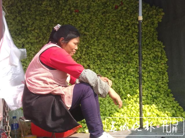 辣椒暴跌被“腰斬”，5元一公斤堪比白菜價 (2).jpg