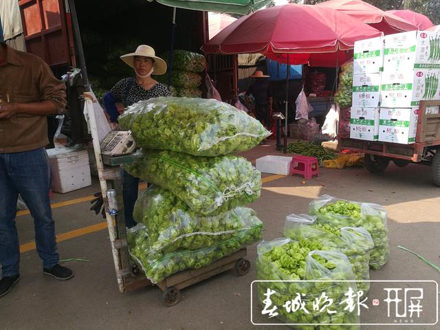 辣椒暴跌被“腰斬”，5元一公斤堪比白菜價 (6).jpg