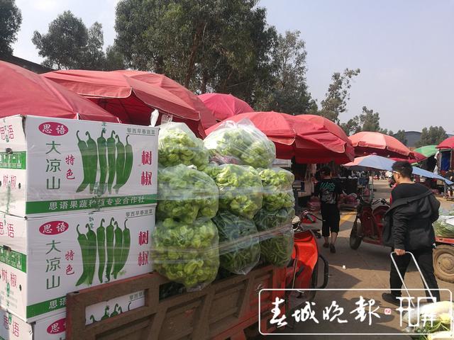 辣椒暴跌被“腰斬”，5元一公斤堪比白菜價 (7).jpg