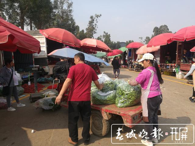 辣椒暴跌被“腰斬”，5元一公斤堪比白菜價 (9).jpg