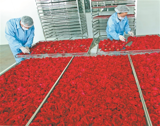 2021032703_res07_attpic_brief 2021032703_res07_attpic_brief