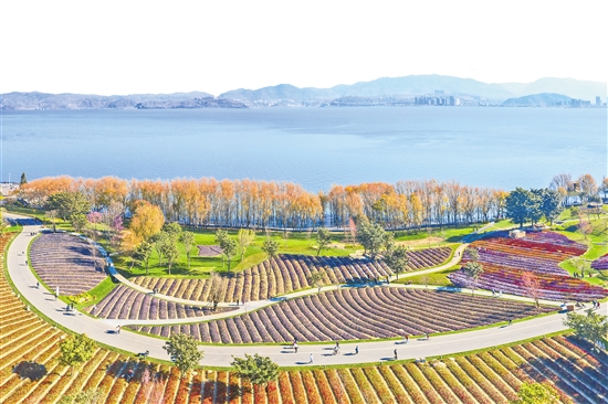 2021032703_res23_attpic_brief 2021032703_res23_attpic_brief