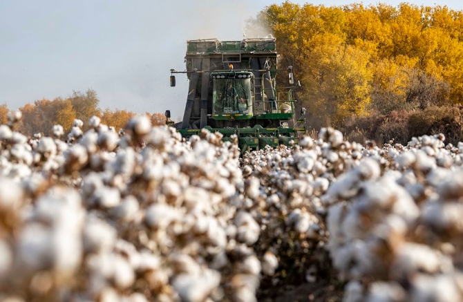 XxjidoC007040_20210326_CBMFN0A001