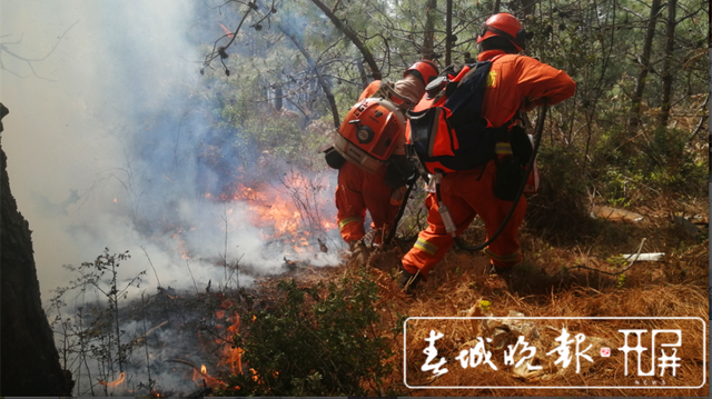 最新消息!祥云山火已撲滅,起火原因待查