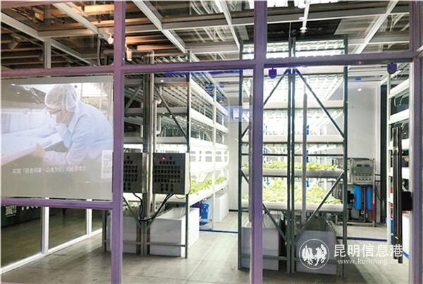 打造農(nóng)業(yè)新型產(chǎn)業(yè)鏈