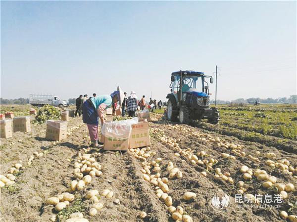 省農(nóng)科院 (1)