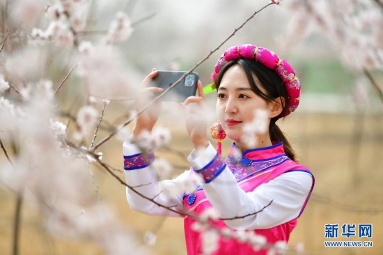 W020210330389507380581