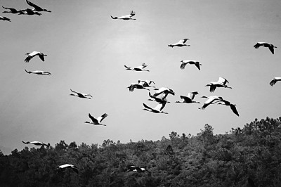 昆明爭當(dāng)全國生態(tài)文明建設(shè)示范市