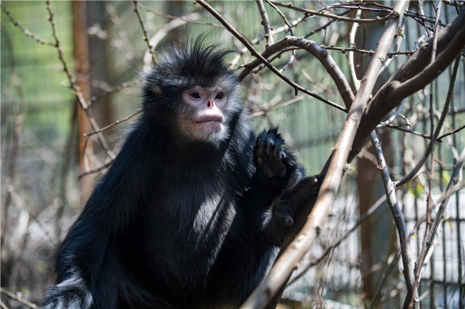 微信圖片_20210331104419