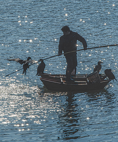 139848768_16171576555841n