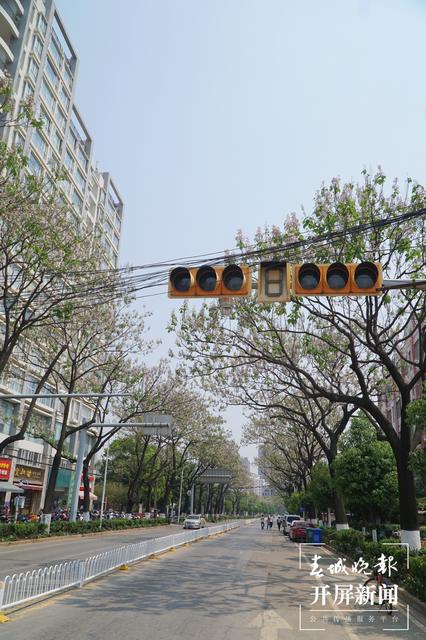 兩道繁花、清香怡人，昆明這條小眾“花路”唯美卻少為人知