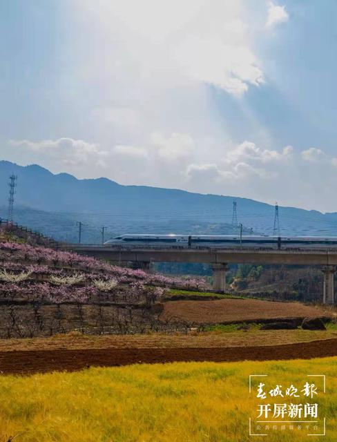 踏青賞花更便捷 孫江葒