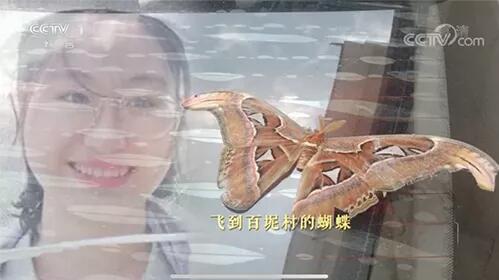 超1800人犧牲在脫貧攻堅(jiān)一線 那些留在我們心中的扶貧英雄