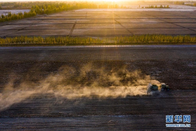 在新疆阿克蘇地區(qū)沙雅縣古勒巴格鎮(zhèn)，農(nóng)用機(jī)械在一處采收完的棉田里進(jìn)行殘膜回收、秸稈粉碎還田作業(yè)（2020年10月23日攝，無人機(jī)照片）。阿克蘇地區(qū)沙雅縣地處塔里木盆地西北緣，是產(chǎn)棉大縣。近年來，沙雅縣先后吸引棉紡、農(nóng)機(jī)制造、節(jié)水設(shè)備制造等多家企業(yè)落戶。
