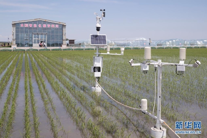 黑龍江省富錦市東北水田現(xiàn)代農(nóng)機(jī)專業(yè)合作社稻田里的專業(yè)設(shè)備（2020年6月12日攝）。