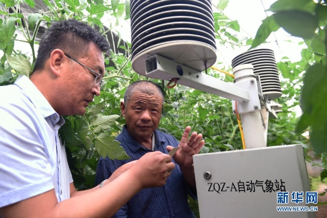 山東省鄒平縣明集鎮(zhèn)金坤生態(tài)園技術(shù)員在給農(nóng)民講解大棚自動(dòng)氣象站的運(yùn)轉(zhuǎn)情況，該設(shè)備可以采集大棚內(nèi)的光照、溫濕度、氣壓、土壤酸堿度等數(shù)據(jù)（2018年5月14日攝）。