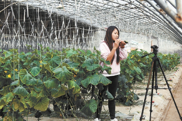 139860902_16176687545681n