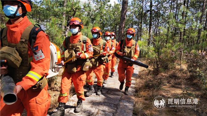 2開(kāi)展林內(nèi)徒步攜裝巡護(hù)。張雷攝