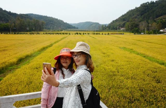 兩名外地游客在陜西省延安市南泥灣鎮(zhèn)南泥灣村的稻田旁留影.jpg