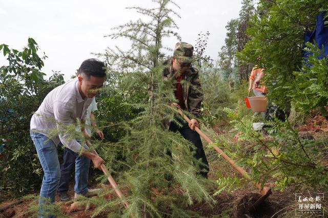 植樹正當(dāng)時(shí)！陽宗海干群“擼袖”添新綠