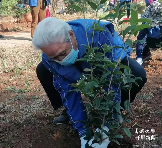 官渡區(qū)40余名“銀霞志愿者”植樹播綠