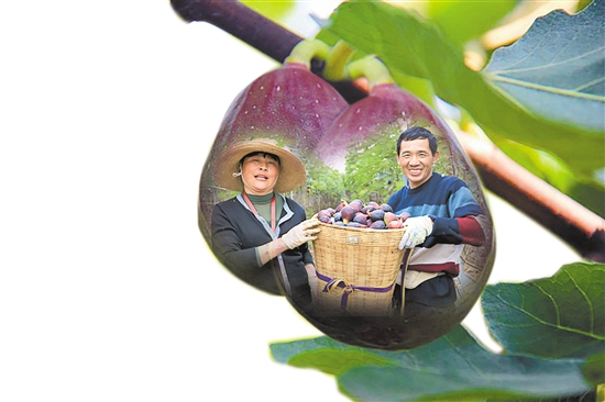 2021040705_res07_attpic_brief