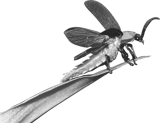 20210407A12_res03_attpic_brief 20210407A12_res03_attpic_brief