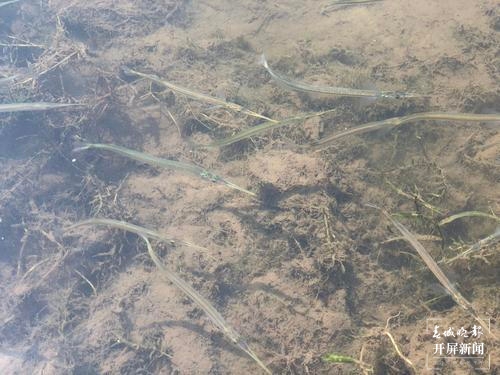 20210407195713CR8EN0 20210407195713CR8EN0