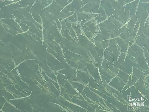 202104071957141SJ711 202104071957141SJ711