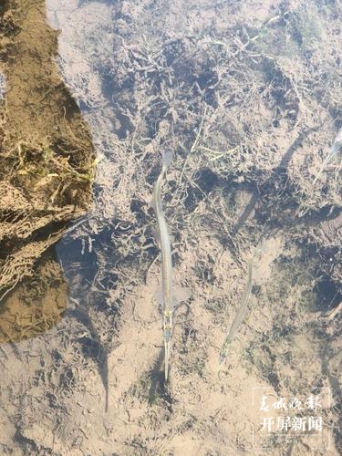 20210407195714U600U4 20210407195714U600U4