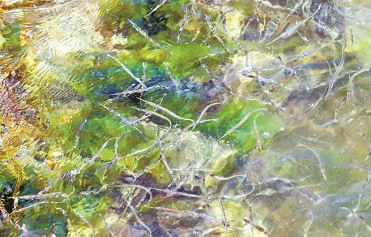 QQ截圖20210410133226