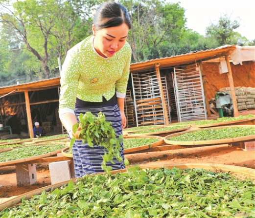 微信截圖_20210412075011 微信截圖_20210412075011