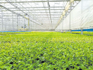 83191618153052308 83191618153052308