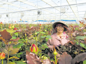 94021618153052308 94021618153052308