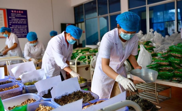 139871597_1618062154010_title0h 139871597_1618062154010_title0h