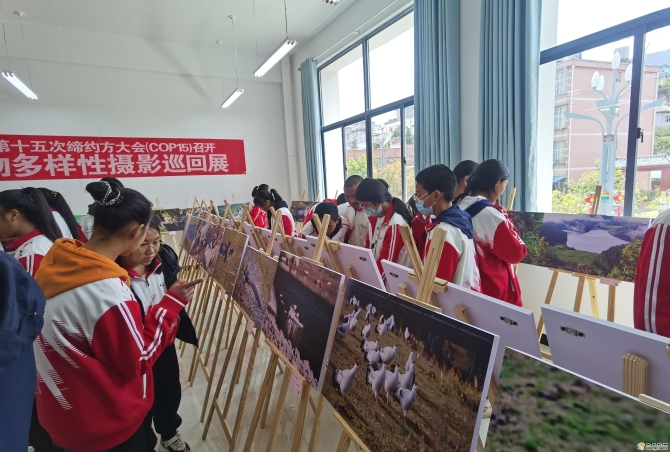 bd77a3ea-d20b-40e9-a9dd-ffb6a3ede898_batchwm bd77a3ea-d20b-40e9-a9dd-ffb6a3ede898_batchwm