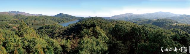 推進(jìn)涉林大案要案整改！云南啟動(dòng)打擊毀林專項(xiàng)行動(dòng)