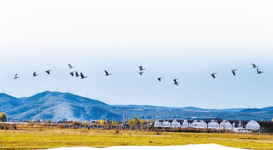 微信截圖_20210413081215 微信截圖_20210413081215